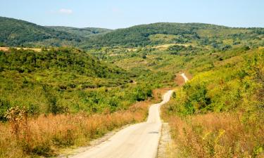 Hotels with Parking in Inđija