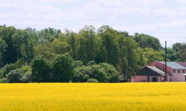 Hotels met Parkeren in Scharmer