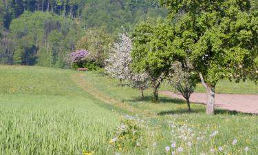 Hotel con parcheggio a Unterkirchbach