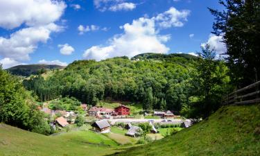 Guest Houses in Răchiţele