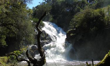 Hotell med parkering i Campo Alegre