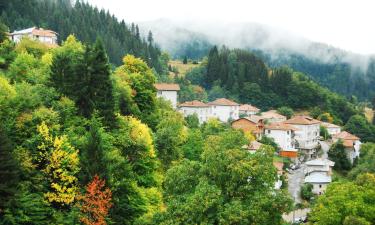 Hoteles familiares en Momchilovtsi