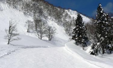 Alojamientos con onsen en Yuzawa