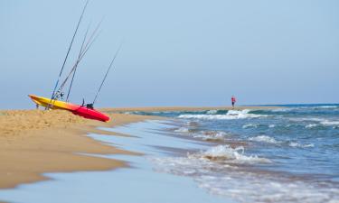 Hoteles que admiten mascotas en Costa Ballena