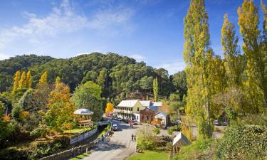 Pet-Friendly Hotels in Walhalla