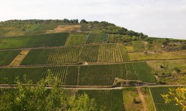 Hotel con parcheggio a Binzen