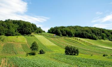 Hotely s parkováním v destinaci Irinovac