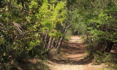 Hotely s parkovaním v destinácii Azur