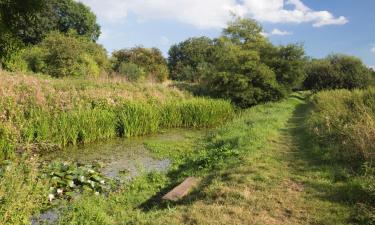 Haustierfreundliche Hotels in Halesworth