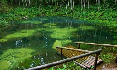 Saula şehrindeki otoparklar