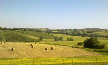 Vacaciones baratas en Montemarciano