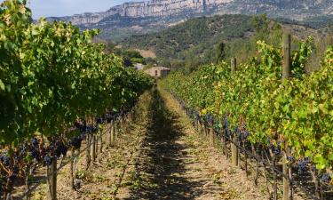 Alquileres vacacionales en Cornudella