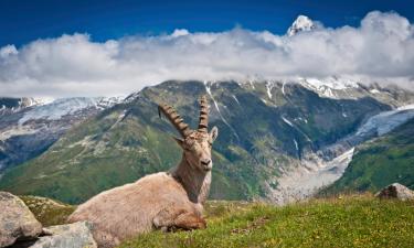 Chalés alpinos em Servoz