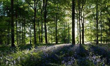 Hotels mit Parkplatz in Newent