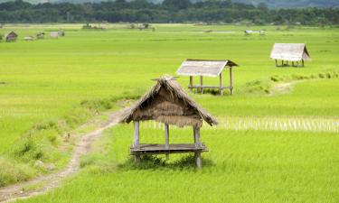 Hoteles en Luang Namtha