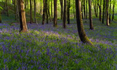 Hotels with Parking in Ansty