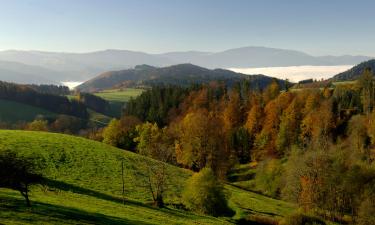 Hoteller i Grenzach-Wyhlen