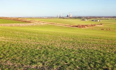 Hoteles que aceptan mascotas en Didcot