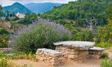 Alquileres vacacionales en Bardineto