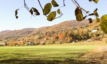 Hotel convenienti a Busca