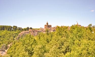 Holiday Rentals in Capranica