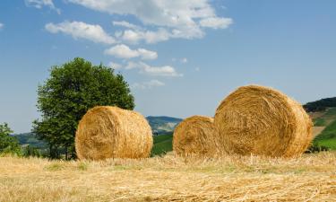 Bed and Breakfasts en Molinella