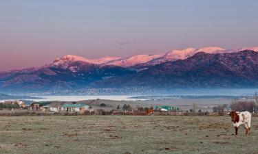 Case per le vacanze a Los Molinos