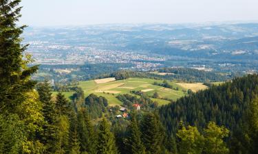 Hoteles con parking en Stary Sącz