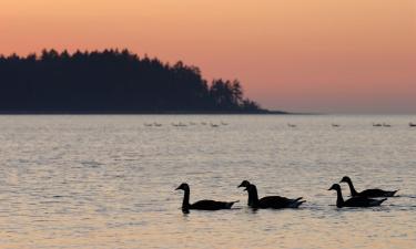 Hotel dengan parkir di Nanoose Bay