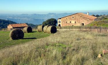 Apartments in Olivella