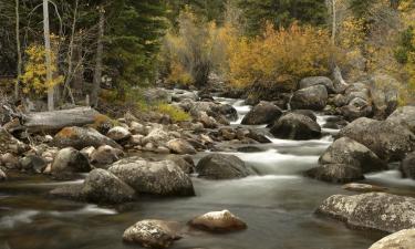 Hotels with Parking in Greybull