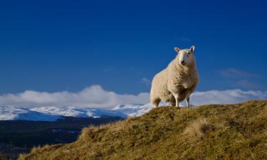 Hotels amb aparcament a Lawers