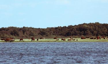 Hotels met Parkeren in Hohen Demzin