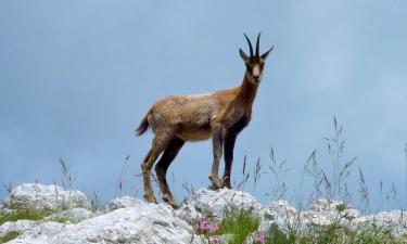 Hoteli s parkiriščem v mestu Isola del Gran Sasso dʼItalia