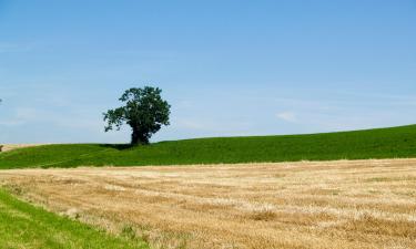 Holiday Rentals in Baugé-en-Anjou