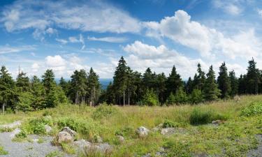 Leiligheter i Bad Blankenburg