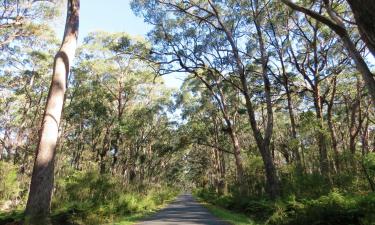 Cottages in Berrima