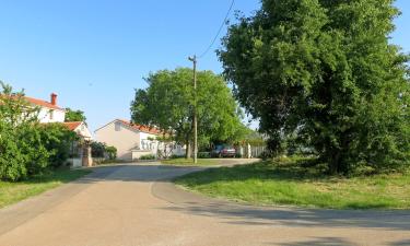 Apartments in Vintijan