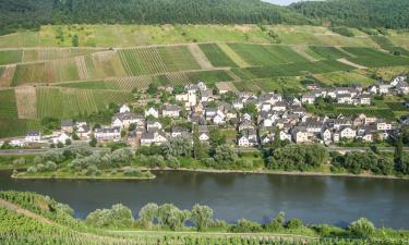 Hotels in Burg an der Mosel