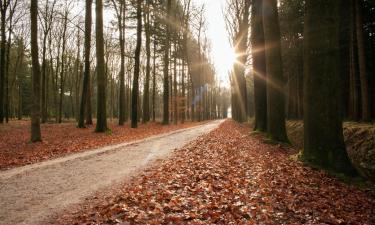 Hotels met Parkeren in Goirle