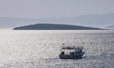 Hoteli pogodni za kućne ljubimce u gradu Ildır