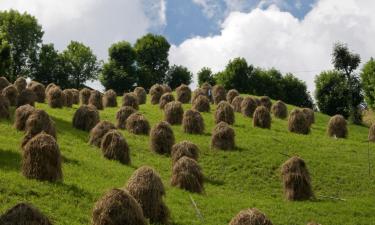 Parkimisega hotellid sihtkohas Wildermieming