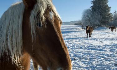 Hoteller med parkering i Granges-Narboz