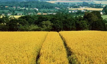 Hotely v destinaci Arques