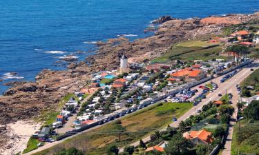 Hoteles que admiten mascotas en Oia