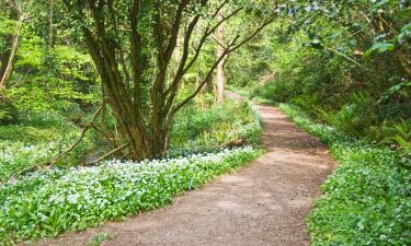 Bed and Breakfasts en Aughrim