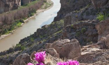 Cheap holidays in Nuevo Laredo