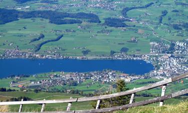 Hôtels à Altdorf