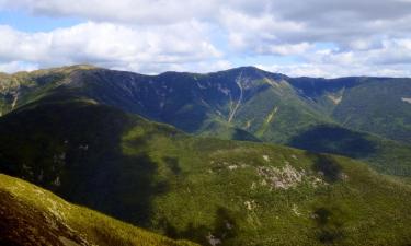 Franconia şehrindeki evcil hayvan dostu oteller