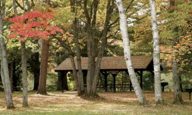 Hotels with Parking in Cadillac